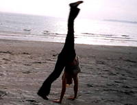 2006, #2