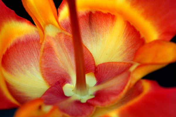 2192289.jpg