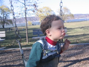 976542.jpg