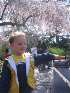 976550.jpg