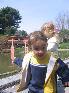 976554.jpg