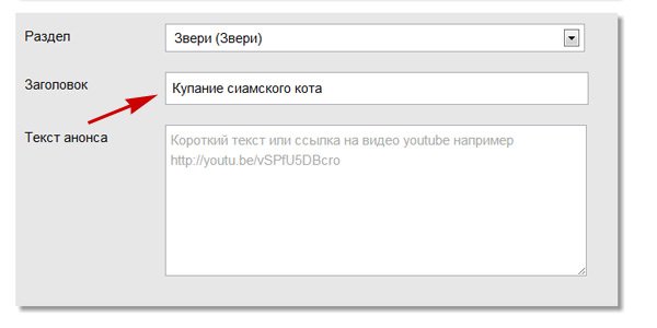 Инструкция для редакторов