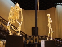 2011