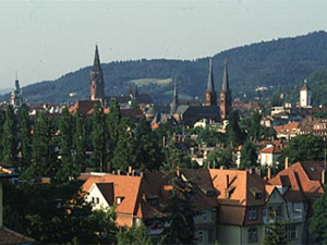 361815.jpg