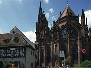 361824.jpg