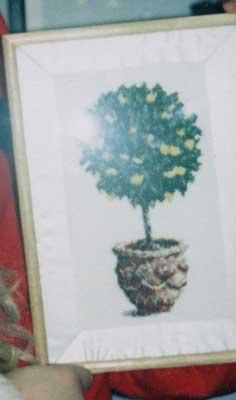 649118.jpg