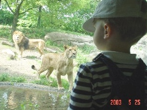 42523.jpg