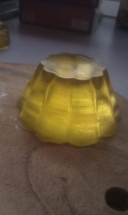 IMAG0746.jpg