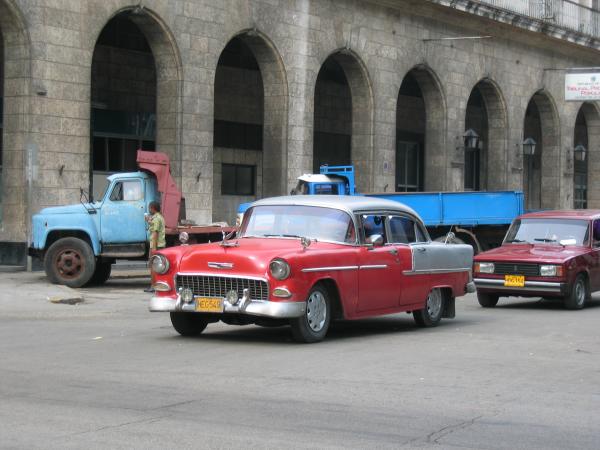 446845.jpg