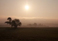 Фотоконкурс: Пейзаж в одном цвете