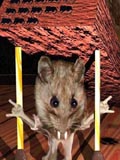 Фотография пользователя  OWIC