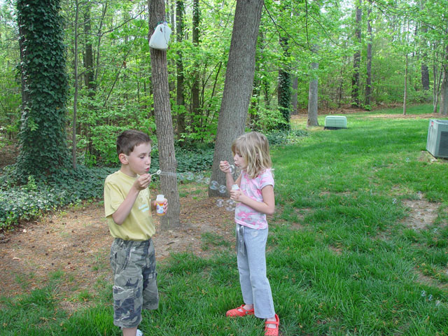 2619257.jpg