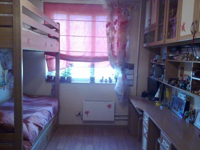 2856530.jpg
