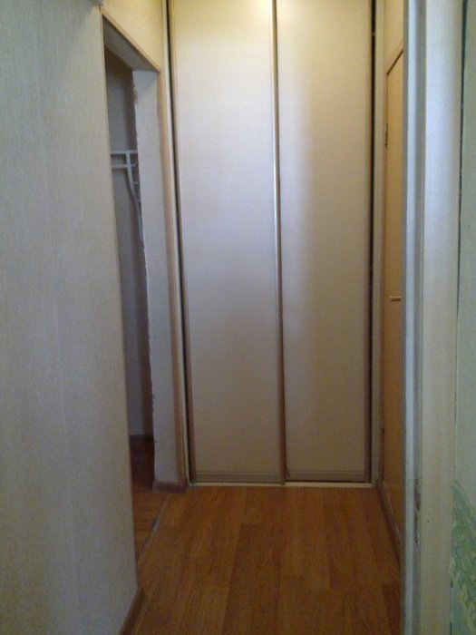 3536140.jpg