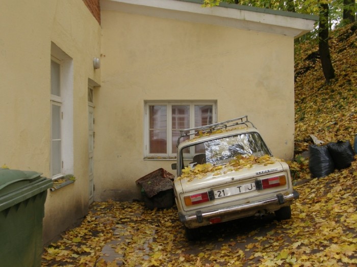 PA100712.JPG