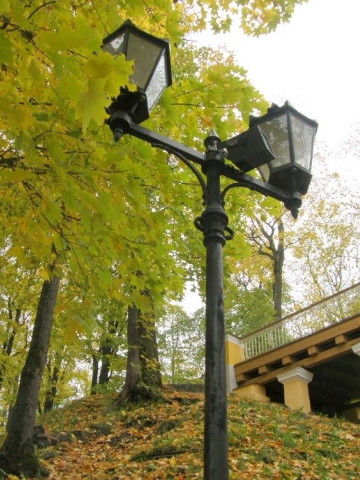 PA100713.JPG