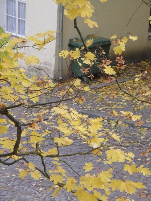 PA100717.JPG