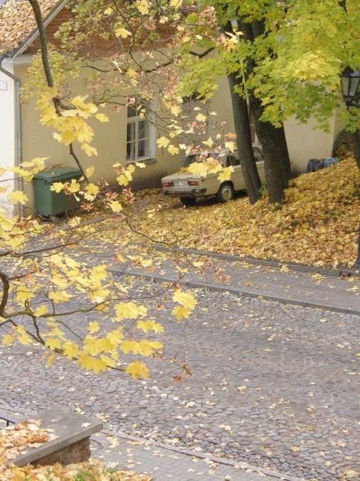 PA100718.JPG