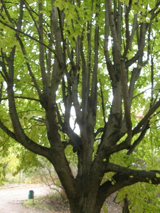 PA100728.JPG