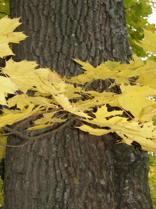 PA100731.JPG