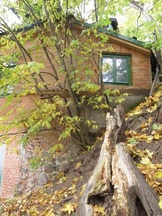 PA100734.JPG