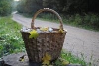 Фотоконкурс: Куда тропинка нас ведёт?