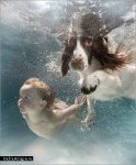 Подводный мир красоты и грации