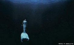 Подводный мир красоты и грации
