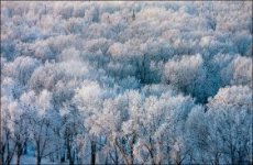 Красноярск. Таким вы его не видели