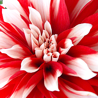 DSC05675-0.png