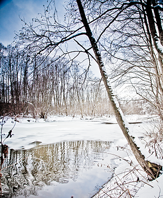 IMG_2083-1-0.png