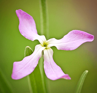 IMG_6187-0.png