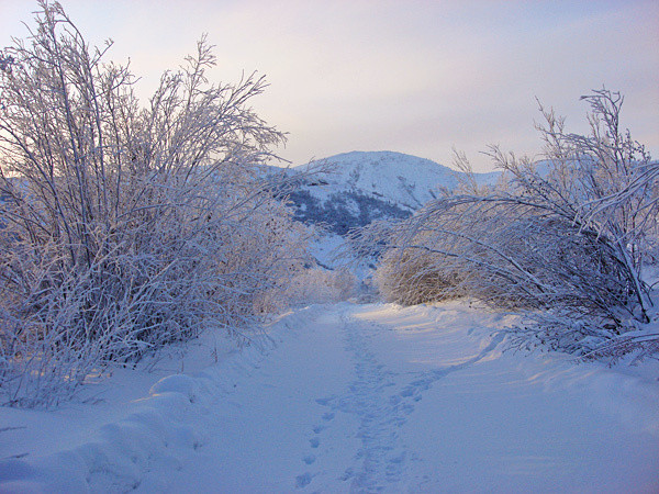 DSC08487.jpg