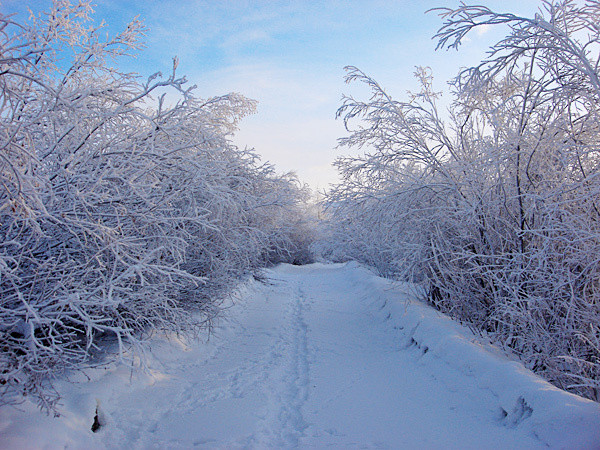 DSC08502-1.jpg