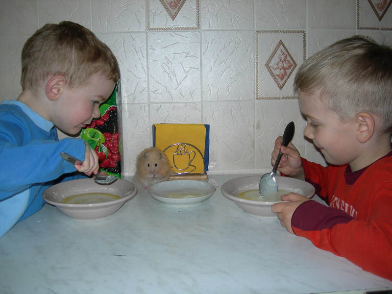 2707402.jpg