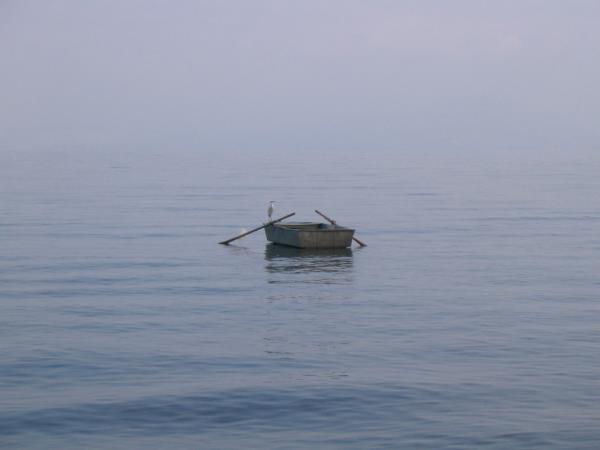 806066.jpg
