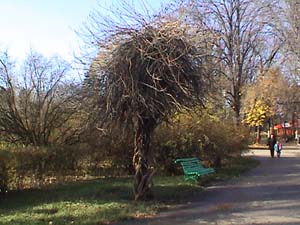 38052.jpg