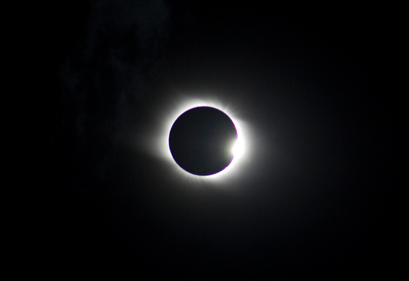 2800184.jpg