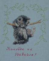 Эра,бабочка и котик.