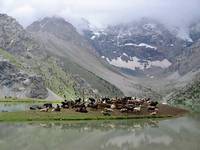 Фанские горы