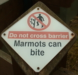 Фотография пользователя  Marmot