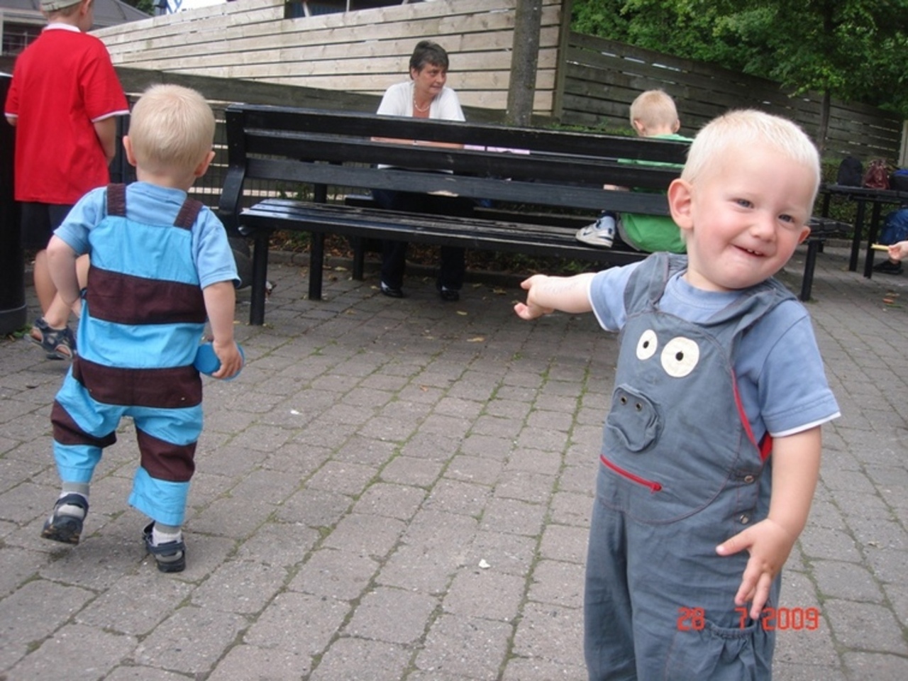 3690176.jpg