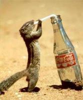 Фотография пользователя  Business_Squirrel