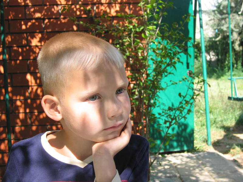3072639.jpg