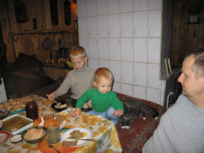 3072930.jpg