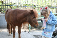 весна2008