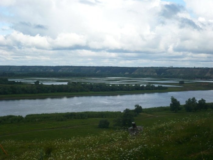P1000951.JPG