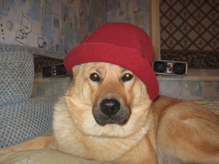 C:\Documents and Settings\Admin\Мои документы\Мои рисунки\foto 472.jpg