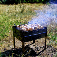 С дымком