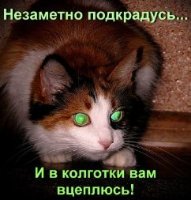 О чем молчат зверята?